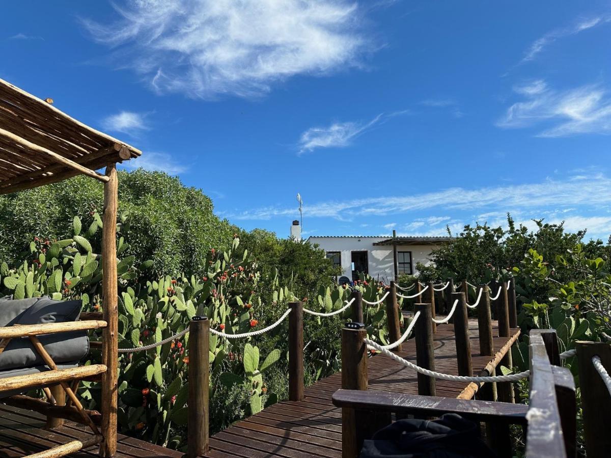 Ostrich Cottage At Les Wings Private Game Farm Groot-Jongensfontein Kültér fotó